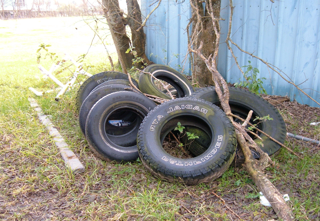 tires