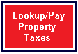 PayPropertyTaxesButton