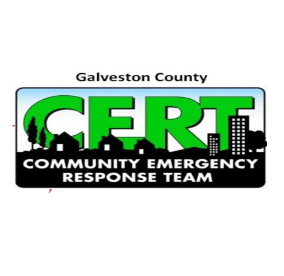 CERT logo