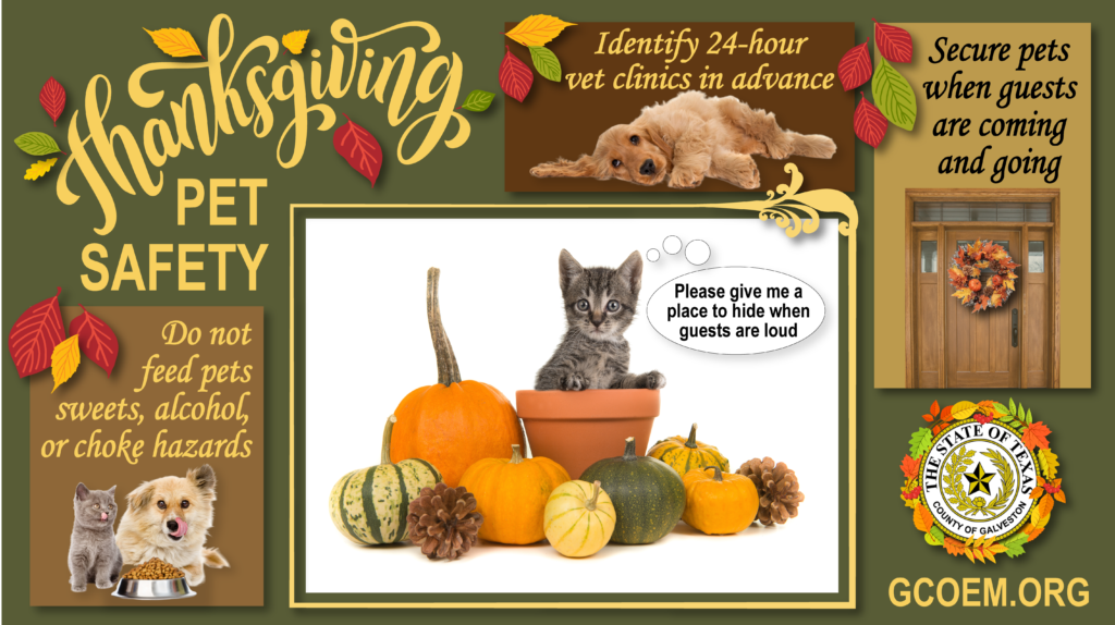 Thanksgiving-Pet-Safety-2022-1024x574