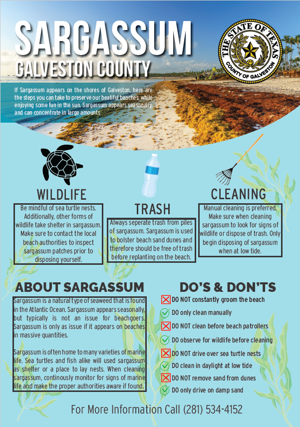 Sargassum Info Flyer