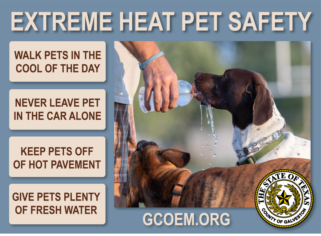 EXTREME HEAT PET SAFETY