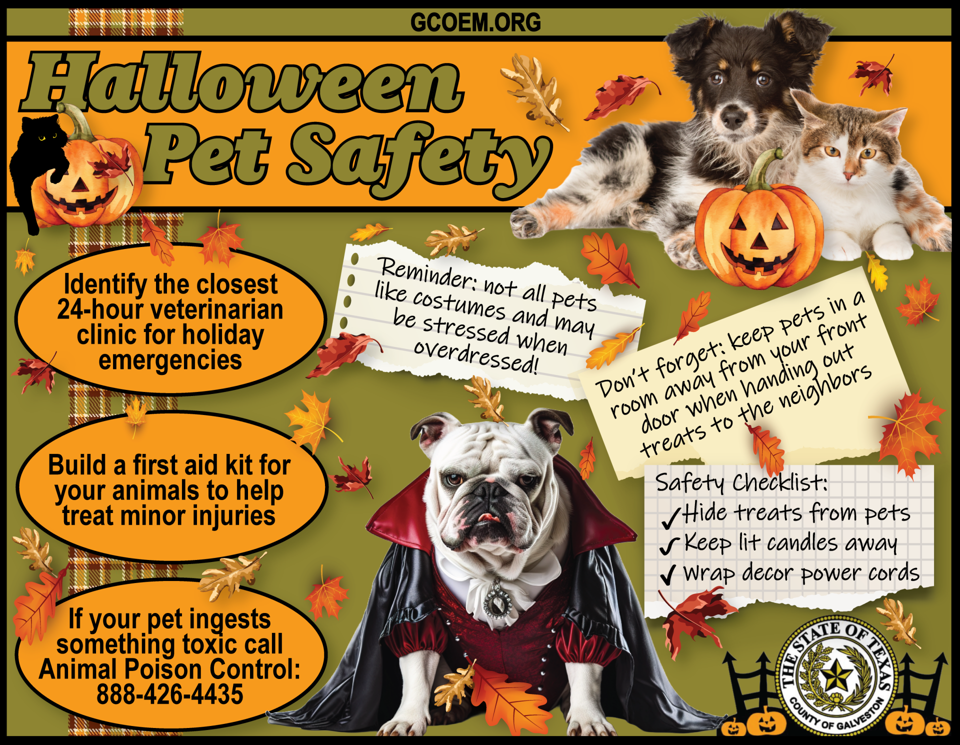 Halloween Pet Safety 2023