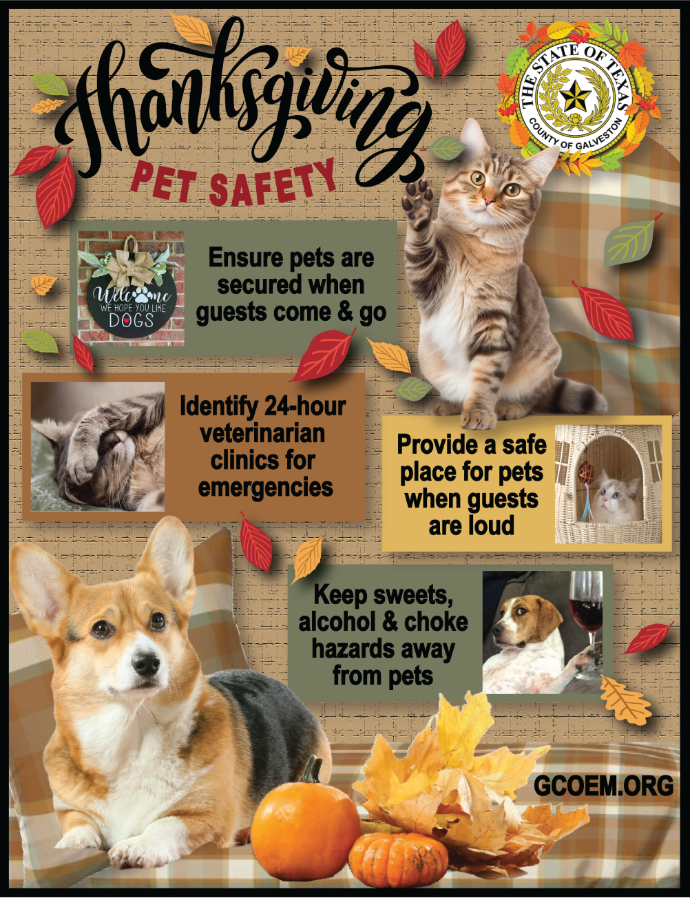 2023 Thanksgiving Pet Safety