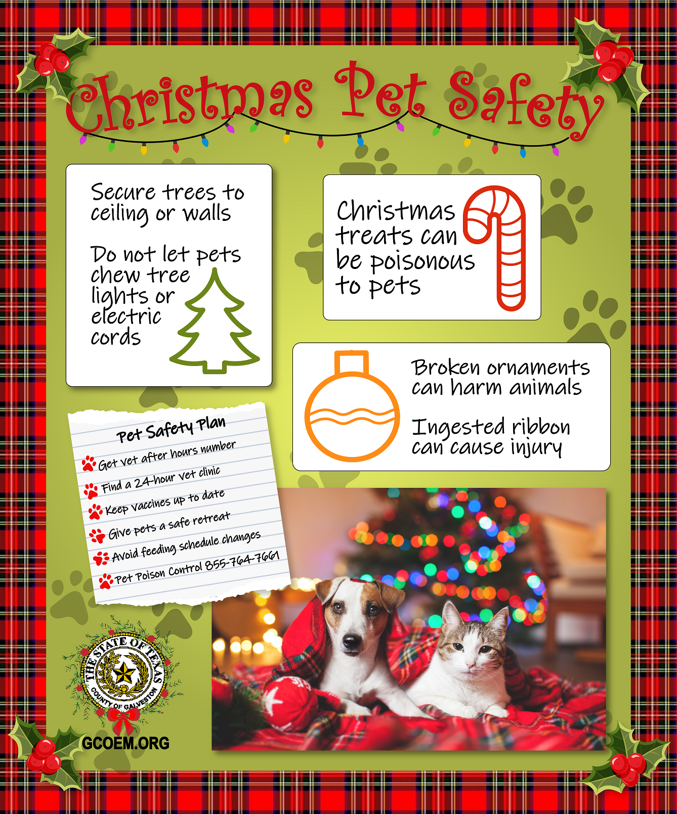 2023 Christmas Pet Safety Tips